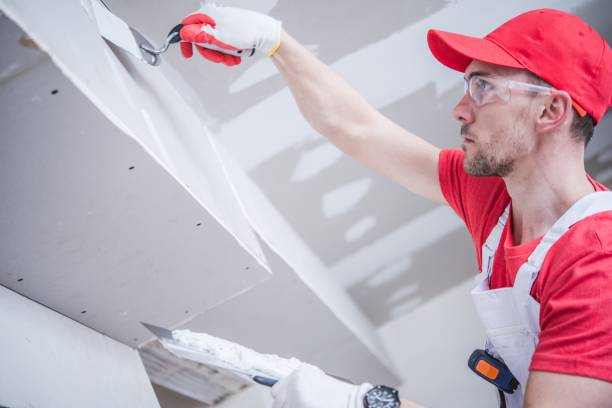 Trusted West Frankfort, IL Painting & Drywall Services Experts